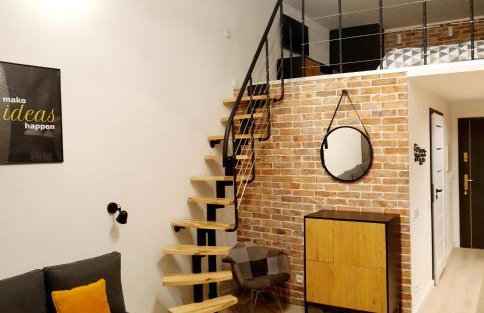 Lividus Czarna Mewa - Foto 1