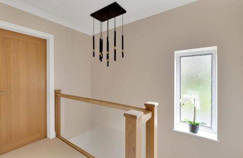 The Squirrels - Foto 15