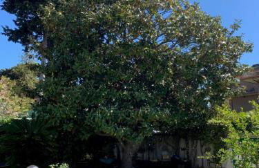 Anzio (RM), zona Santa Teresa - Photo 12