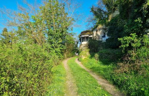 Troglo en bord de Loire, entre vignes et châteaux - Foto 30
