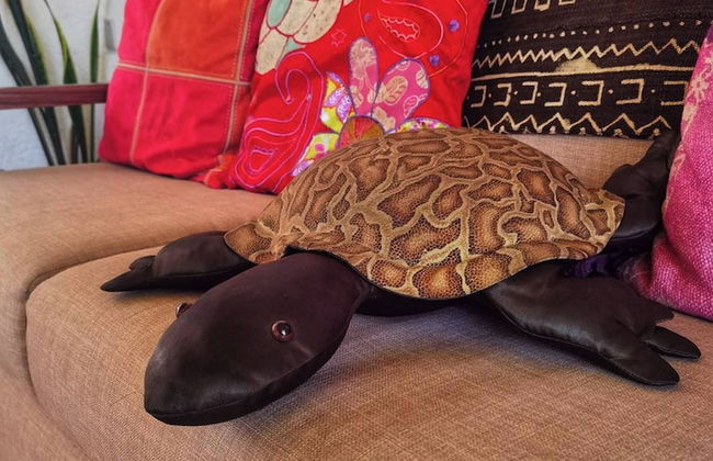 Room in House - Una Joya Para Dormir En Chapalita - Foto 16