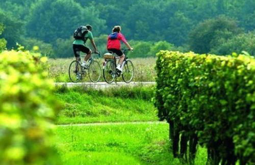 Holiday Home Gasthaus Villa Habana by Interhome - Foto 52