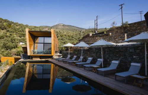 Five Olive Dream Trip - Photo 34