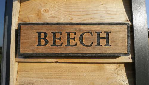 Beech - Foto 2