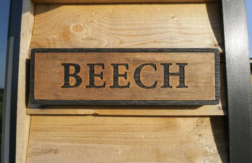 Beech - Foto 2