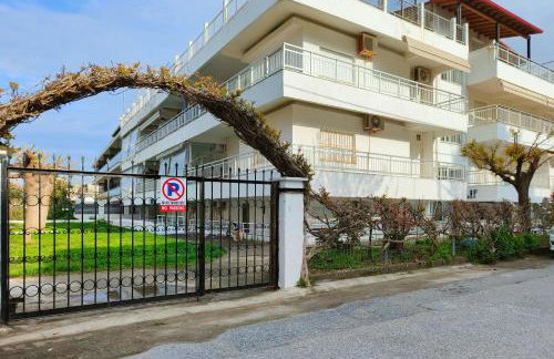 Sempre Viva - Foto 26