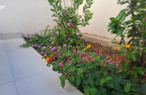 Tiki Studio - Foto 16