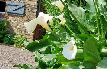 Beautiful 2 bed cottage with swimming pool - Foto 65