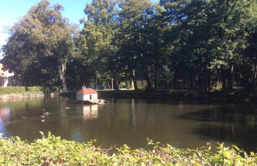 Apartament Bukowy - Foto 11