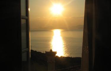 Hydra Erato - Foto 40