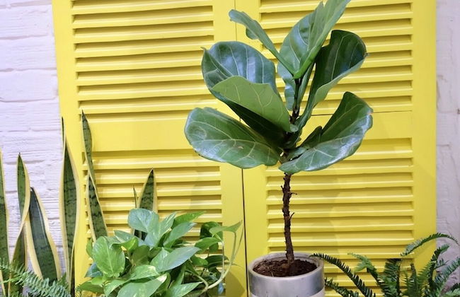 Uri House - Photo 62