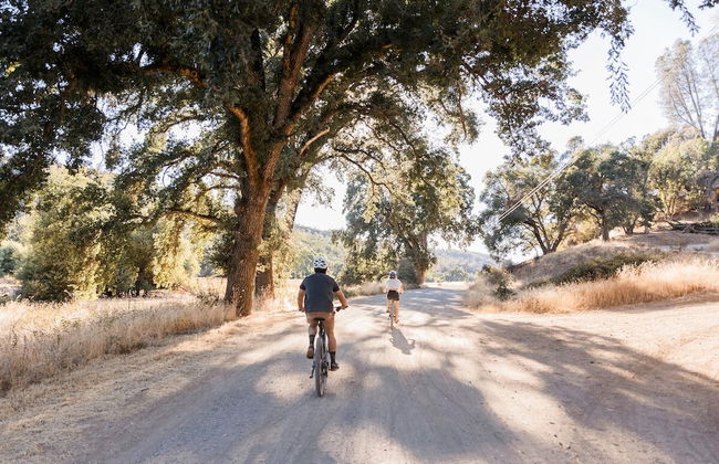 Huttopia Wine Country - Foto 49