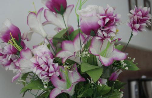 Appart'Hôtel Les Rochers - Foto 1