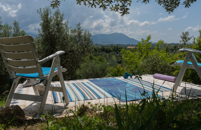 Olive Grove Sabina - Foto 5