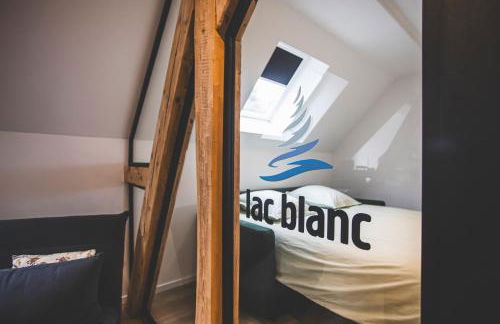 Appartements Les Vosges - Foto 8