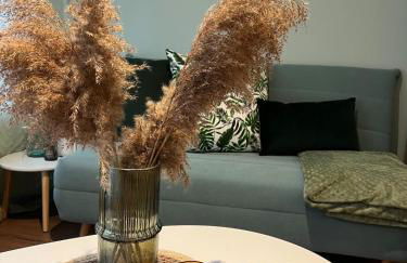 Studio calme à 2 pas du Rhône - Wifi rapide - Foto 12