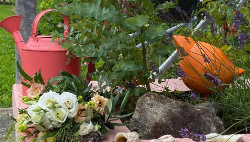 Katrin-Cara Mia Ferienwohnung - Foto 3