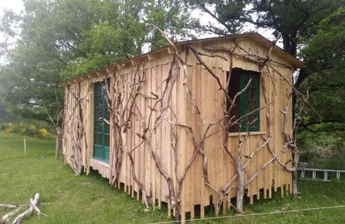 Ferme de la Luciole - Photo 17