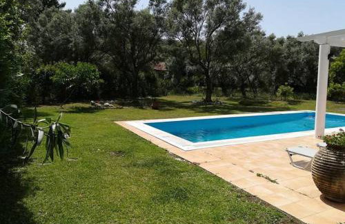 Villa Erietta & Villa Ariana near Lefkas center - Foto 35