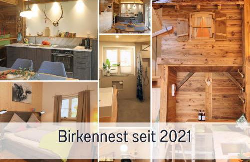 Ferienwohnung BirkenNEST-Sauna-Freisitz-Almhütte - Foto 2