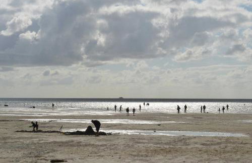 Nordseehof Fuhlehörn - Foto 22