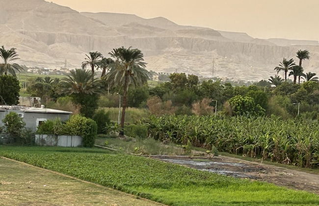 Lemon Tree Guest House and Swimming Pool - Foto 21