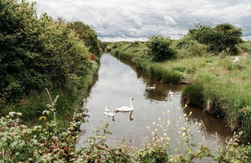 Sunny Beachside Apt with Free Parking - Foto 24