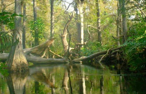 Upcycled Shipping Containers Transformed into a Glamping Home for a Unique Florida Vacation - Foto 42