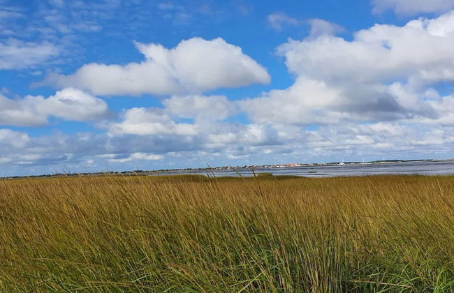 4 Person Holiday Home in Fano - Foto 7