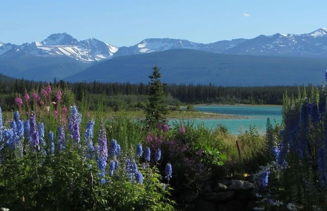 Eagle Bear Lodge - Foto 14