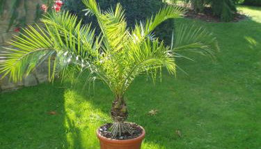 Ferienwohnung "Am Geiseltal" - Foto 5, Garden