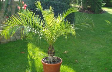 Ferienwohnung "Am Geiseltal" - Foto 5