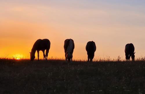 Ferienwohnung Hof Wehlenbach - Foto 21