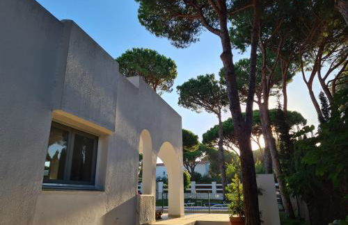 Roche Pinos Verdes - Foto 26