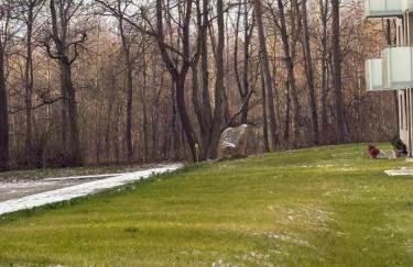 Park & Town Apartment - Foto 16