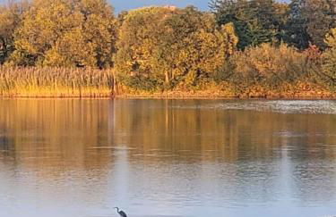 Urlaub im Neuseenland - Foto 37