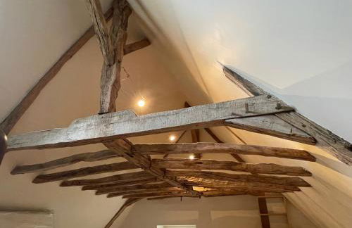 Manoir des Rosiers - Foto 11