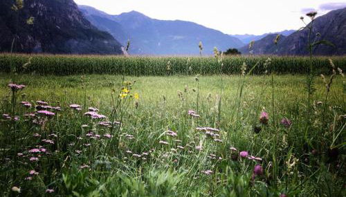 Agriturismo Summus Lacus - Foto 5