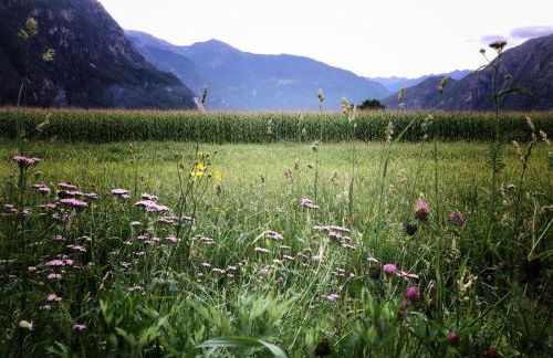 Agriturismo Summus Lacus - Foto 5
