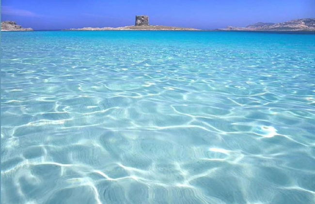 Holiday Home in Stintino Near Sea Beach - Photo 33