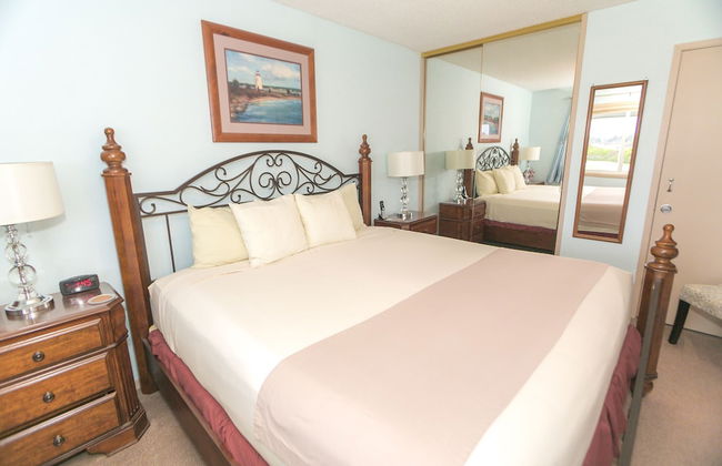 The Grey Gull - Foto 67