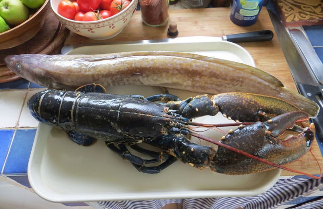 Holiday Home, Plouneour Brignogan Plages - Foto 20