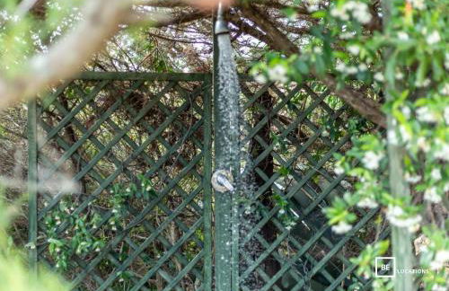 BeLocations - Villa MARENGO - Foto 19