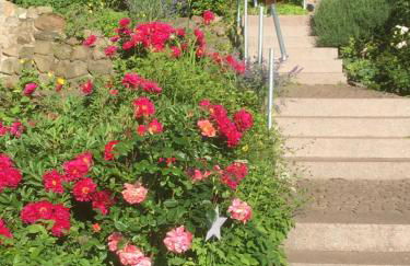 Ferienzimmer am See - Foto 8