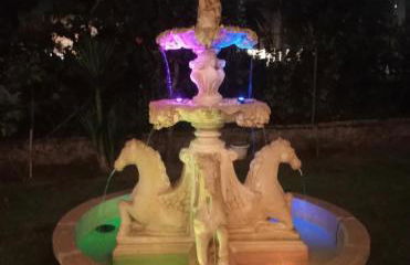 La casa de la avioneta - Foto 23