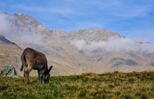 La Cà Granda, quiet house with mountain views - Photo 40