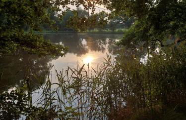Ferienwohnung Am Bürgerteich - Foto 42