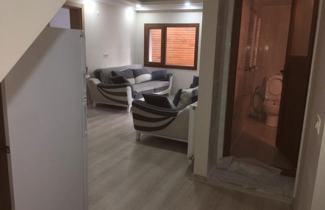 Sefa Apart - Photo 35