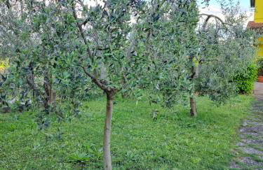 Casa Gli Ulivi - Foto 2