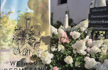 Zur alten Rebe Ferienhaus und Weingut - Foto 53